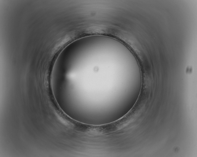 X0000096730489200802051444