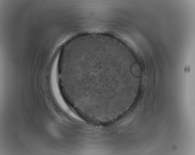 X0000096730491200802051444
