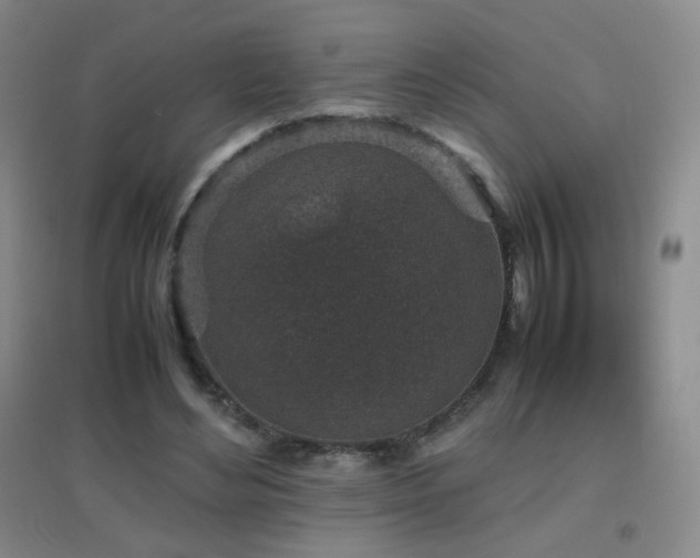 X0000096730492200802051444