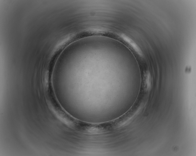 X0000096730494200802051444