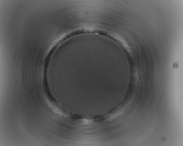 X0000096730496200802051443