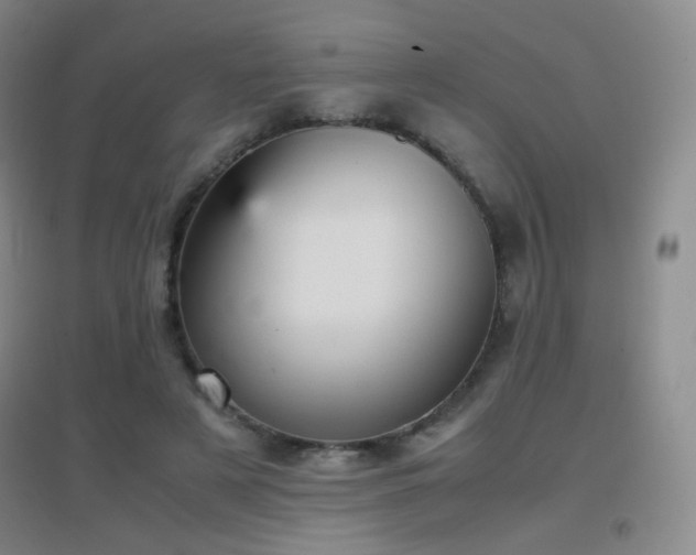 X0000096730497200802051443