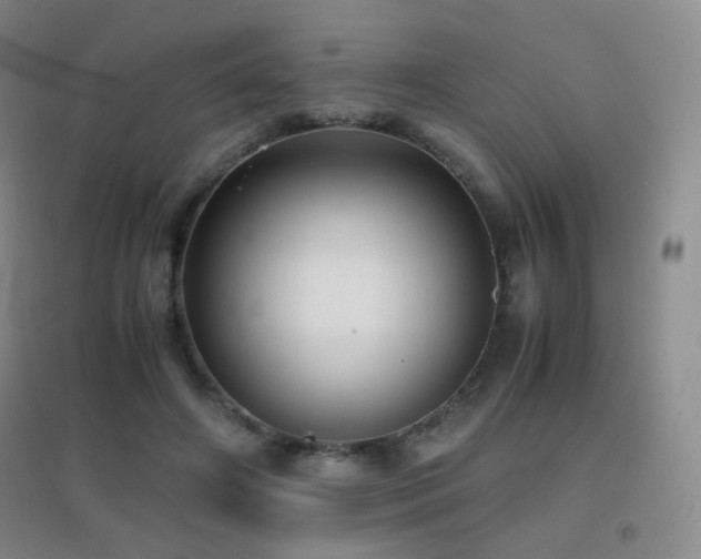 X0000096730498200802051443
