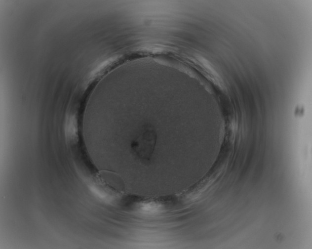 X0000096730500200802051443