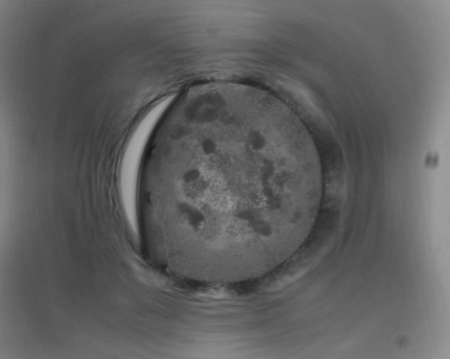 X0000096730503200802051443