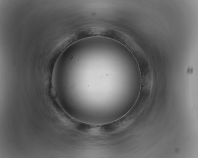 X0000096730505200802051443