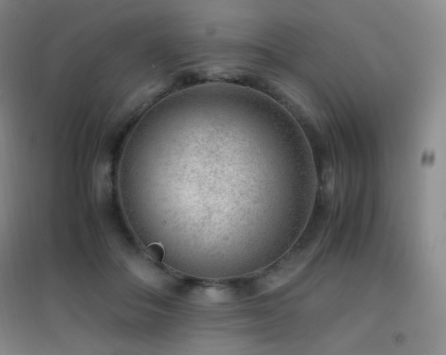 X0000096730506200802051443