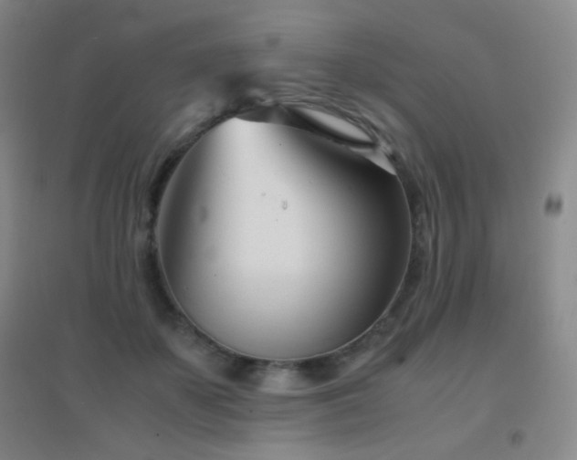 X0000096730507200802051443