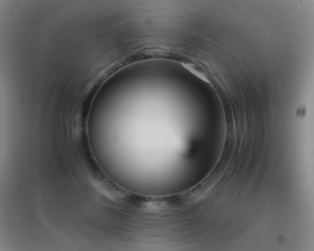 X0000096730508200802051443