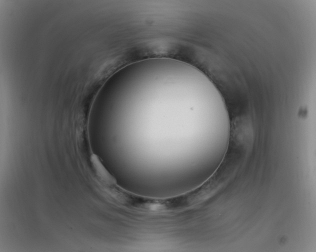 X0000096730509200802051443