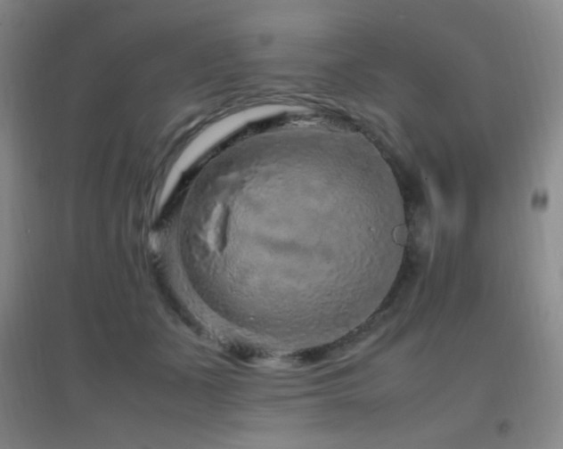 X0000096730511200802051443