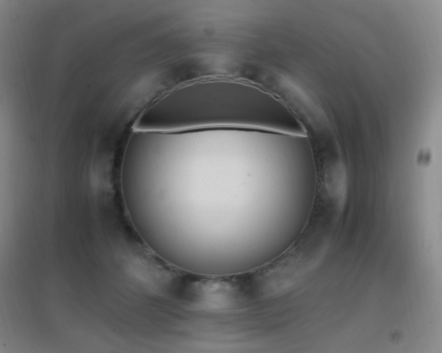 X0000096730512200802051443