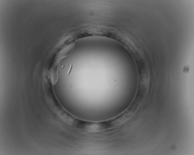 X0000096730513200802051443