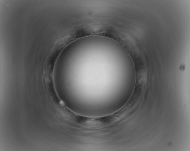 X0000096730515200802051443
