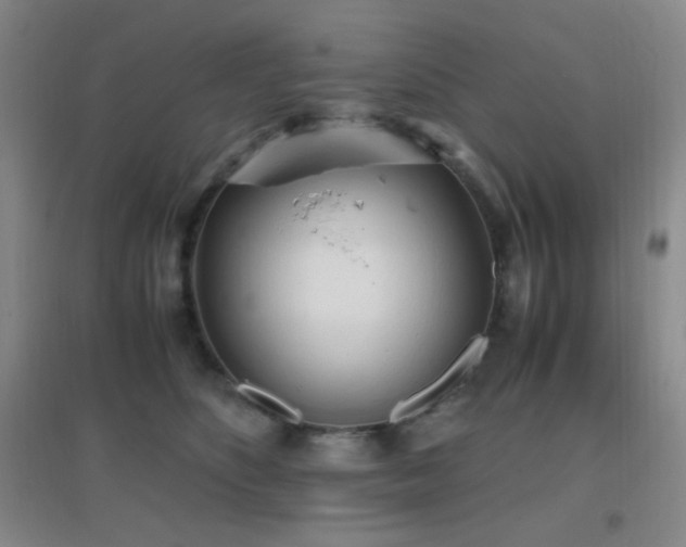X0000096730516200802051443
