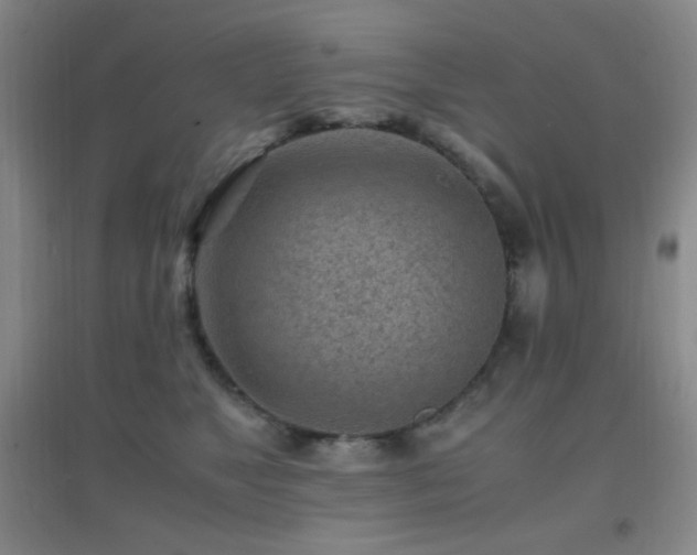 X0000096730517200802051443