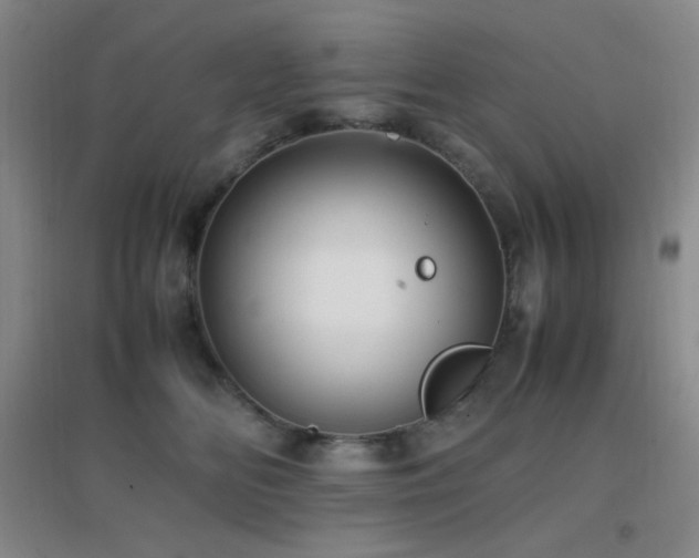 X0000096730518200802051443