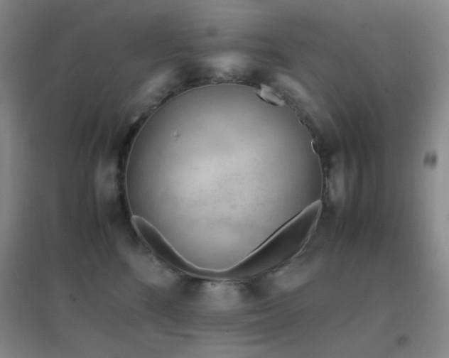 X0000096730520200802051443