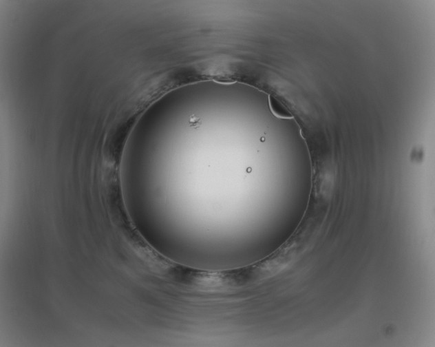 X0000096730521200802051443