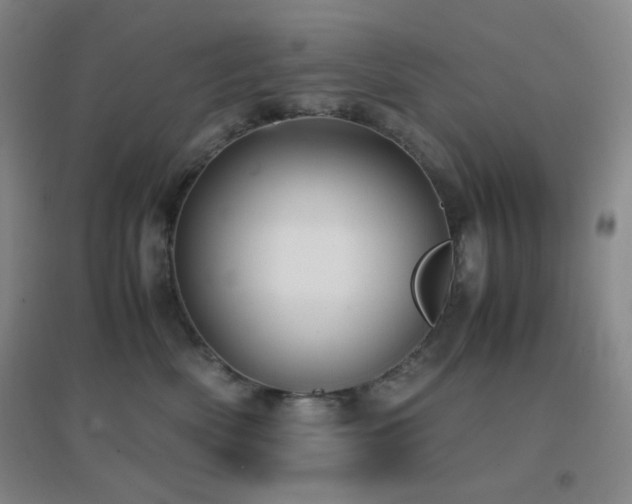 X0000096730522200802051443