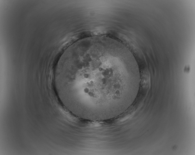 X0000096730523200802051443