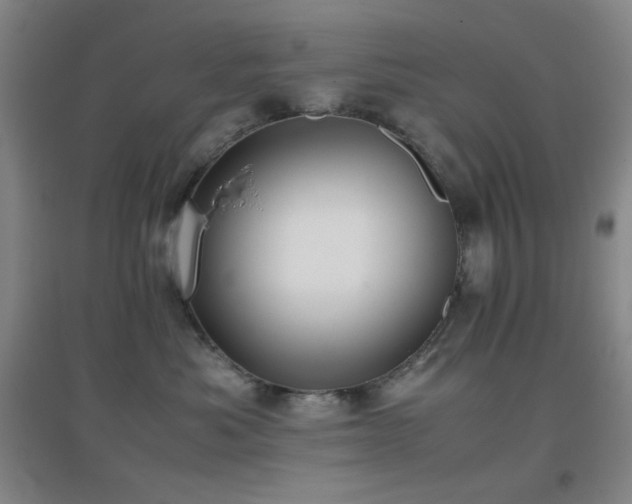 X0000096730525200802051443