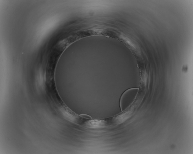 X0000096730526200802051443