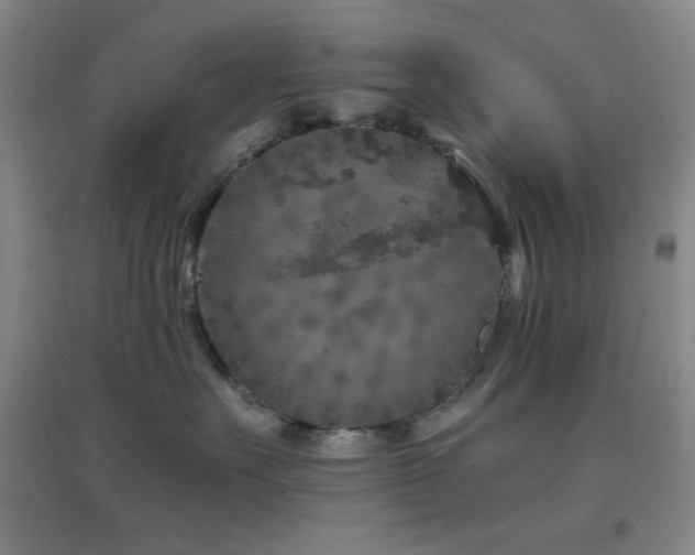 X0000096730527200802051443