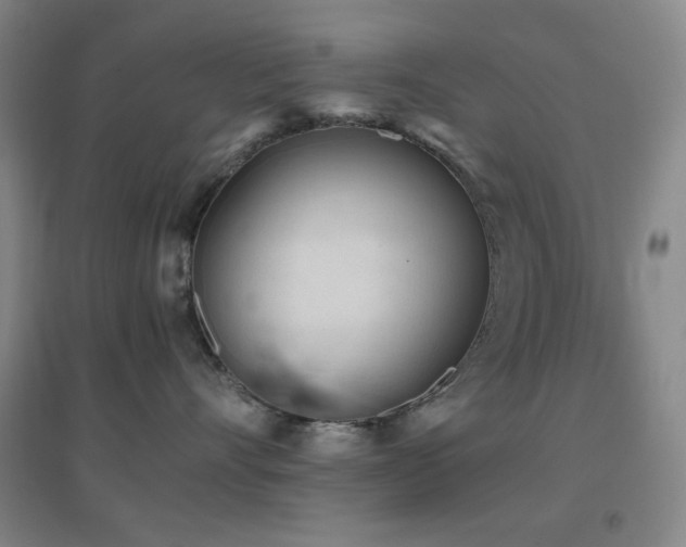 X0000096730528200802051443
