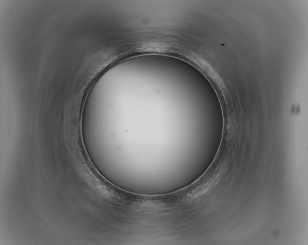 X0000096730529200802051442