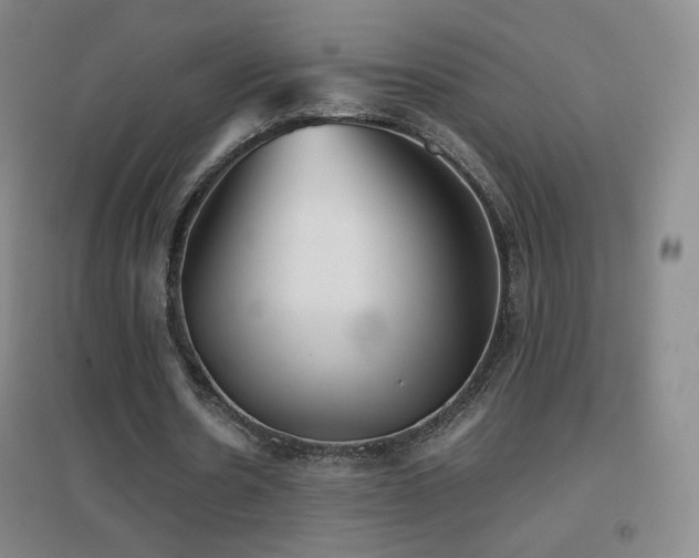 X0000096730530200802051442