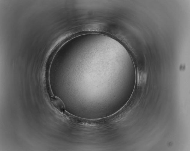X0000096730531200802051442