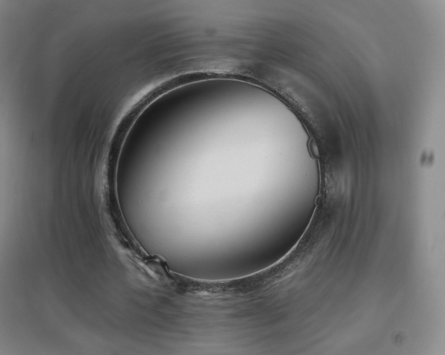 X0000096730532200802051442