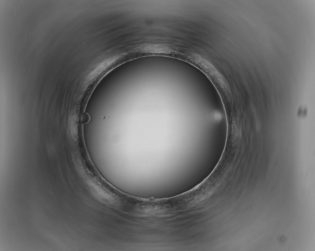 X0000096730533200802051442