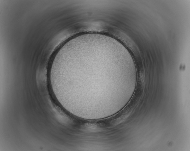 X0000096730534200802051442