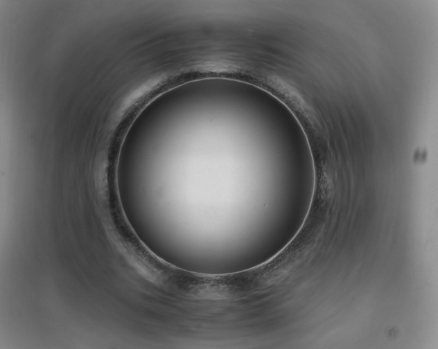 X0000096730535200802051442