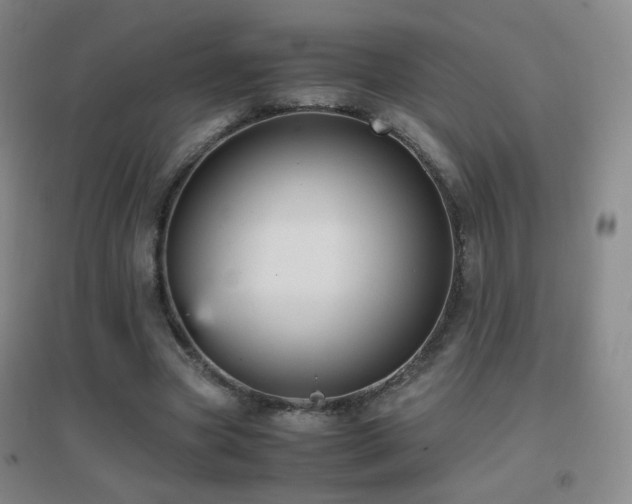 X0000096730537200802051442