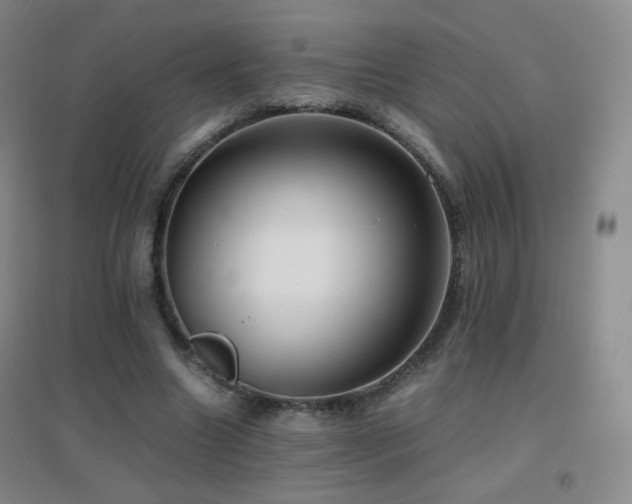 X0000096730538200802051442