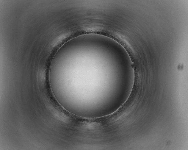 X0000096730539200802051442