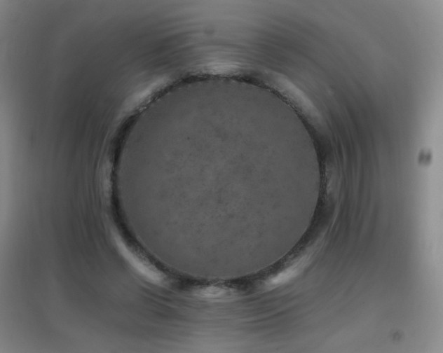 X0000096730542200802051442
