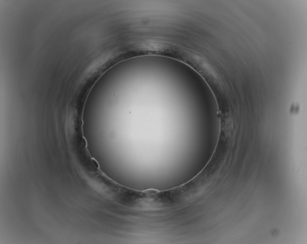 X0000096730544200802051442