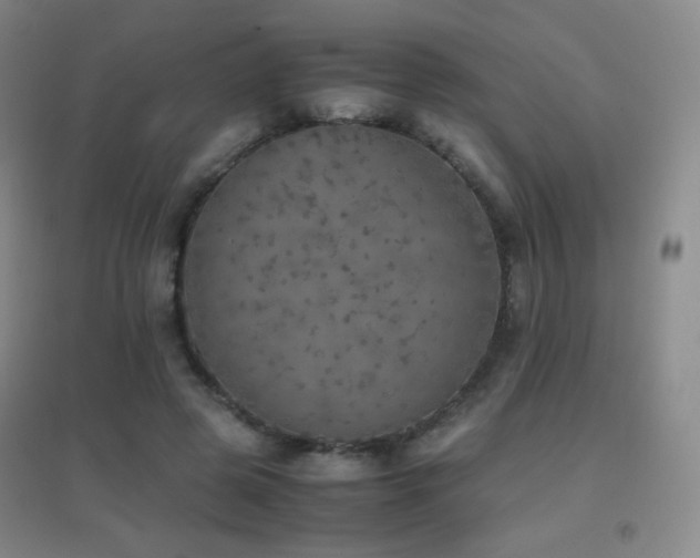 X0000096730545200802051442