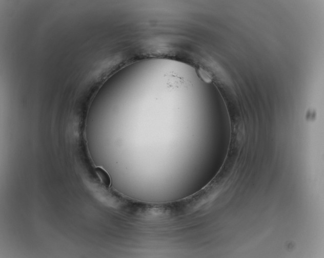 X0000096730546200802051442