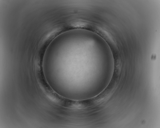 X0000096730547200802051442