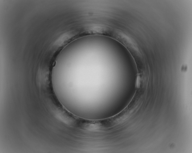 X0000096730548200802051442