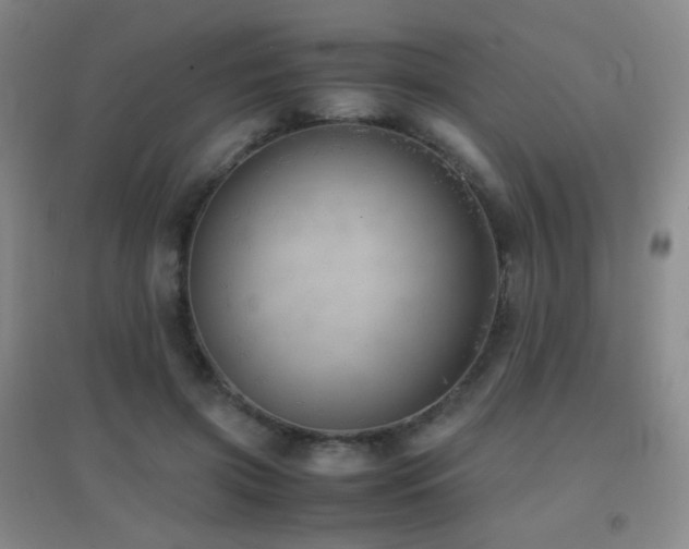 X0000096730549200802051442