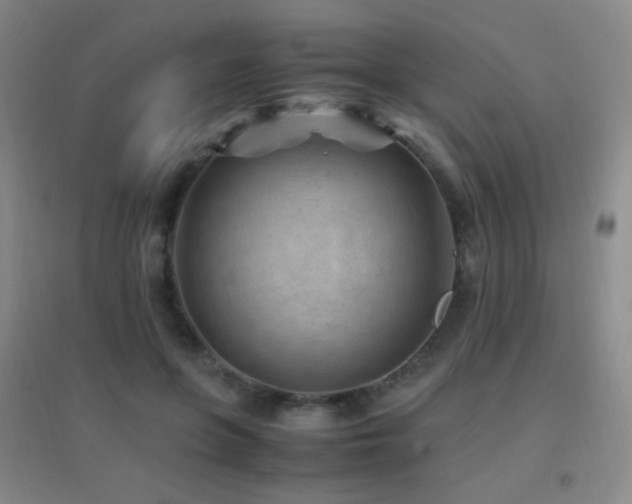 X0000096730551200802051443