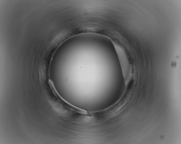 X0000096730552200802051443