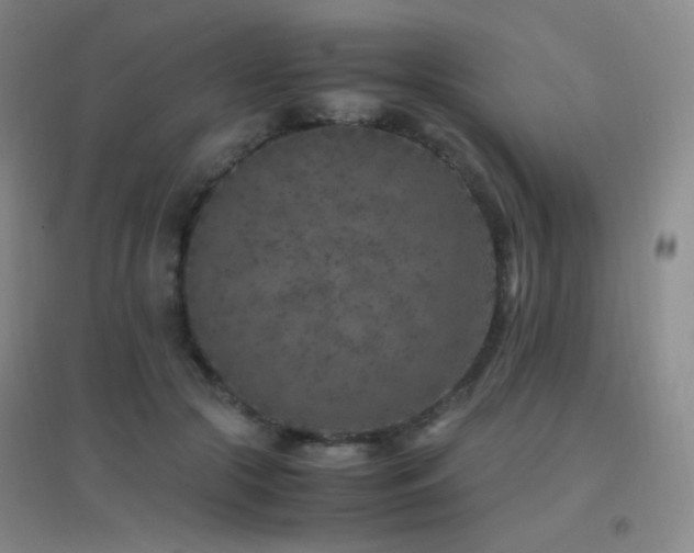 X0000096730553200802051443