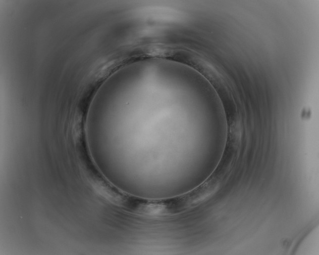X0000096730554200802051443